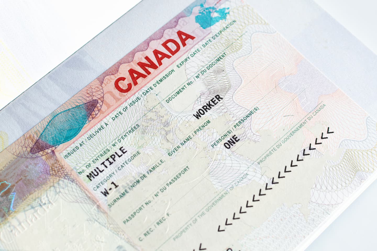 UIS Canada Blog Bridging Open Work Permit Canada